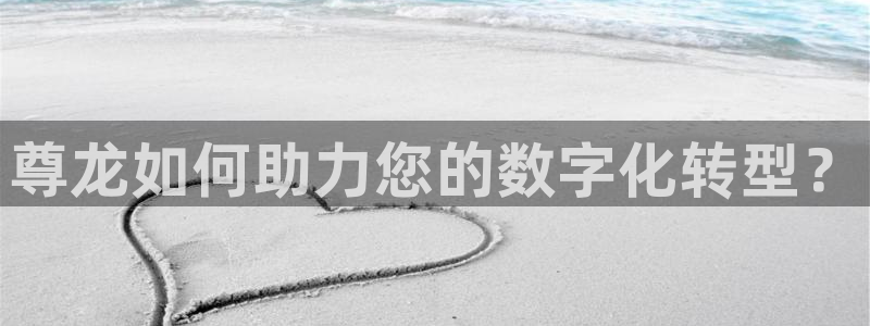 恩佐娱乐,com：尊龙如何助力您的数字化转型？