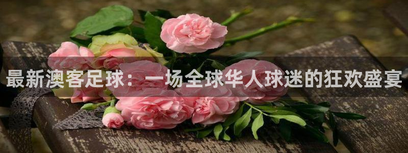 恩佐娱乐平台app下载：最新澳客足球：一场全球华人球迷的狂欢盛宴